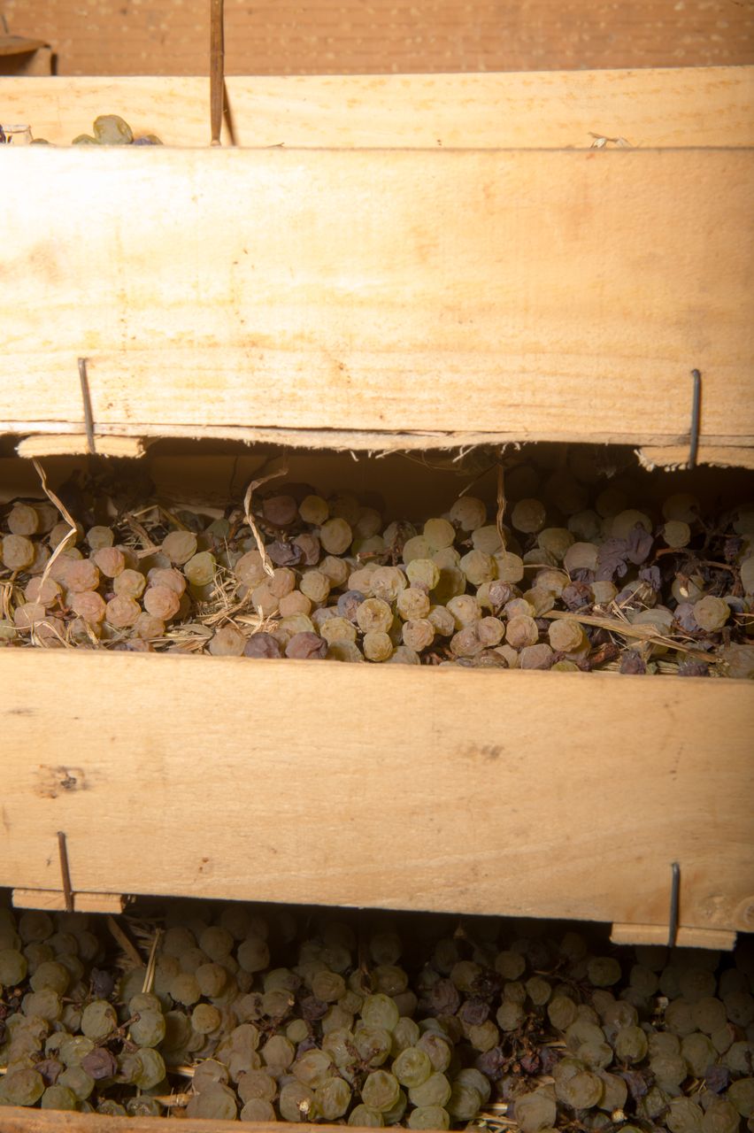 Vignoble Technique Vin de paille VDP-0001